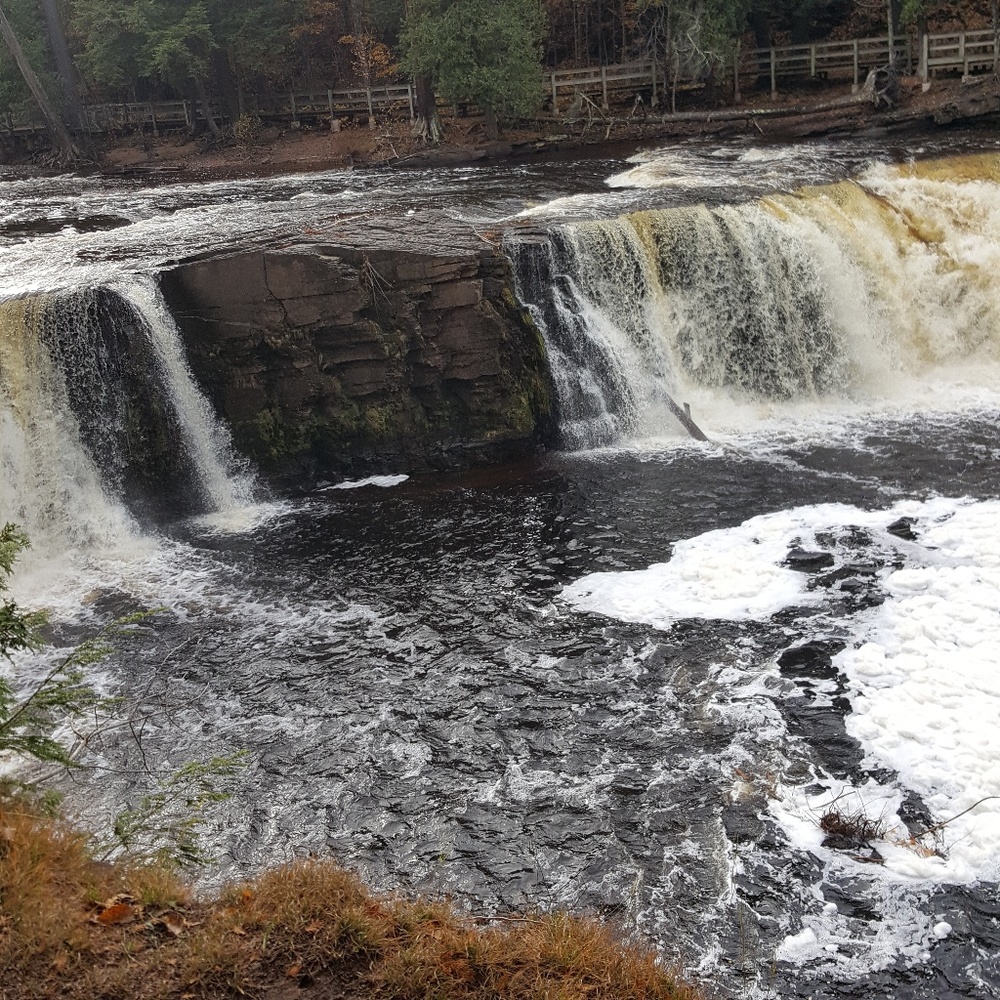 Meet your Posher, Jaimie